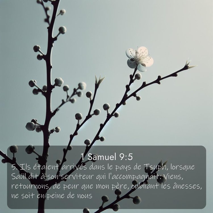 image nature avec verset biblique de la Bible