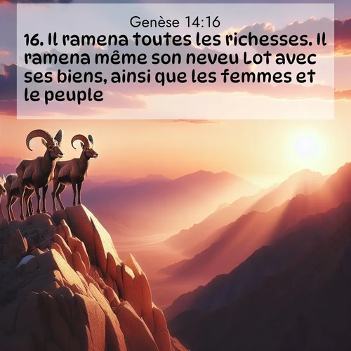 Segond21 Genèse  ; image nature: image avec le verset biblique :Il ramena toutes les richesses. Il ramena même son neveu Lot avec ses biens, ainsi que les femmes et le peuple. ;  ; 14:16