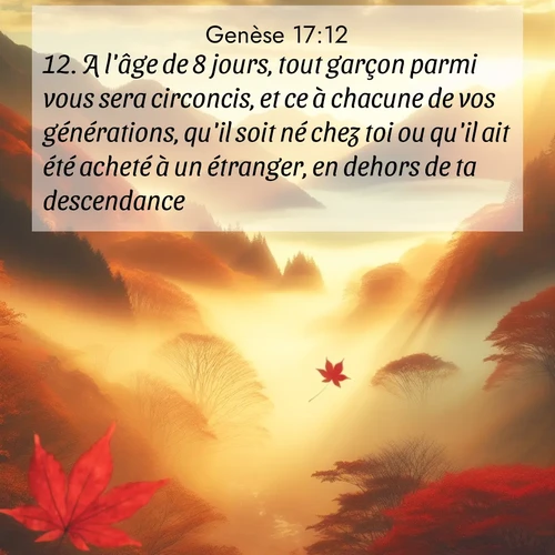 citation biblique : 12. A l&#039;âge de 8 jours, tout garçon parmi vous sera circoncis, et ce à chacune de vos générations, qu&#039;il soit né chez toi ou qu&#039;il ait été acheté à un étranger, en dehors de ta descendance.
 sur fond image nature