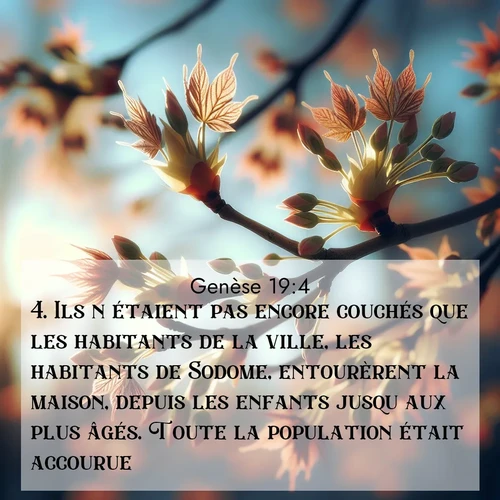 citation biblique : 4. Ils n&#039;étaient pas encore couchés que les habitants de la ville, les habitants de Sodome, entourèrent la maison, depuis les enfants jusqu&#039;aux plus âgés. Toute la population était accourue.
 sur fond image nature