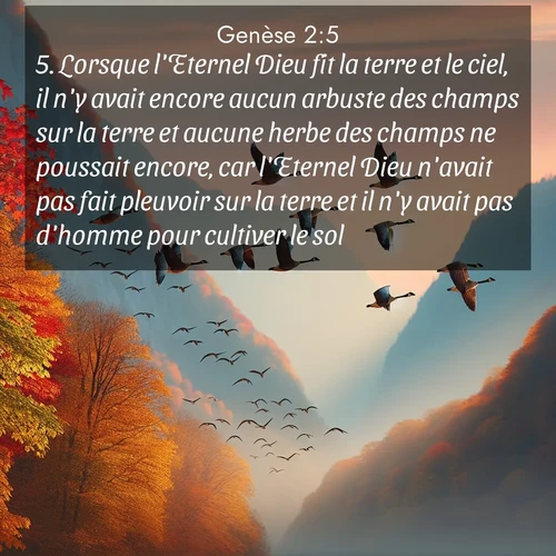 Segond21 Genèse  ; image nature: image avec le verset biblique :Lorsque l&#039;Eternel Dieu fit la terre et le ciel, il n&#039;y avait encore aucun arbuste des champs sur la terre et aucune herbe des champs ne poussait encore, car l&#039;Eternel Dieu n&#039;avait pas fait pleuvoir sur la terre et il n&#039;y avait pas d&#039;homme pour cultiver le sol. ;  ; 2:5