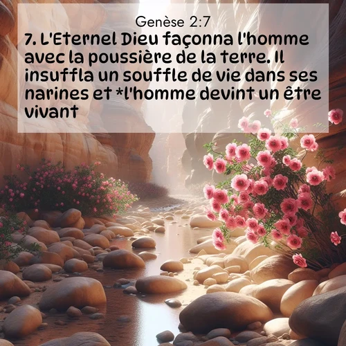 Segond21 Genèse  ; image nature: image avec le verset biblique :L&#039;Eternel Dieu façonna l&#039;homme avec la poussière de la terre. Il insuffla un souffle de vie dans ses narines et *l&#039;homme devint un être vivant. ;  ; 2:7