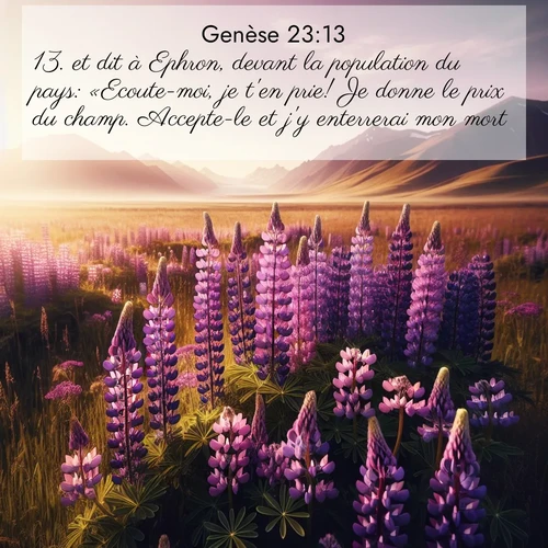 citation biblique : 13. et dit à Ephron, devant la population du pays: «Ecoute-moi, je t&#039;en prie! Je donne le prix du champ. Accepte-le et j&#039;y enterrerai mon mort.»
 sur fond image nature