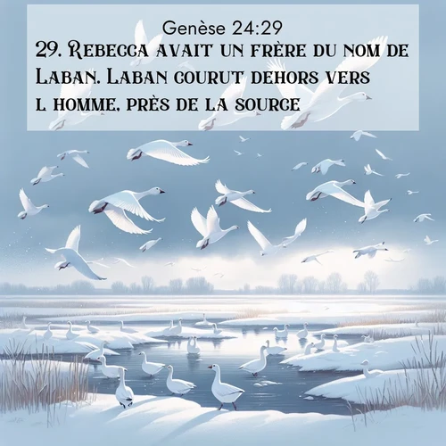 Segond21 Genèse  ; image nature: image avec le verset biblique :Rebecca avait un frère du nom de Laban. Laban courut dehors vers l&#039;homme, près de la source. ;  ; 24:29