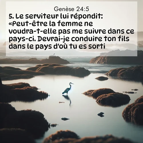 Segond21 Genèse  ; image nature: image avec le verset biblique :Le serviteur lui répondit: «Peut-être la femme ne voudra-t-elle pas me suivre dans ce pays-ci. Devrai-je conduire ton fils dans le pays d&#039;où tu es sorti?» ;  ; 24:5