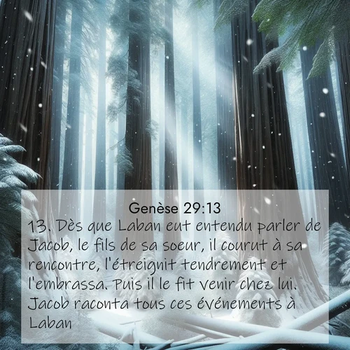 Segond21 Genèse  ; image nature: image avec le verset biblique :Dès que Laban eut entendu parler de Jacob, le fils de sa soeur, il courut à sa rencontre, l&#039;étreignit tendrement et l&#039;embrassa. Puis il le fit venir chez lui. Jacob raconta tous ces événements à Laban, ;  ; 29:13