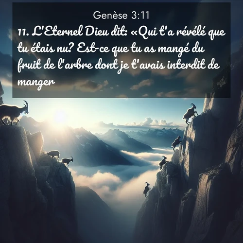 Segond21 Genèse  ; image nature: image avec le verset biblique :L&#039;Eternel Dieu dit: «Qui t&#039;a révélé que tu étais nu? Est-ce que tu as mangé du fruit de l&#039;arbre dont je t&#039;avais interdit de manger?» ;  ; 3:11