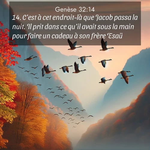 citation biblique : 14. C&#039;est à cet endroit-là que Jacob passa la nuit. Il prit dans ce qu&#039;il avait sous la main pour faire un cadeau à son frère Esaü:
 sur fond image nature