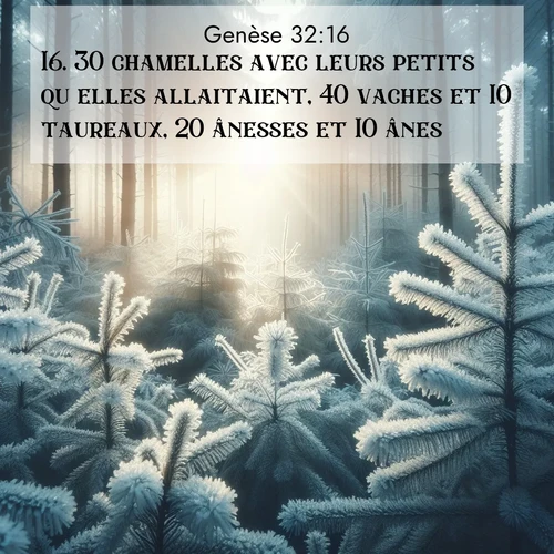 citation biblique : 16. 30 chamelles avec leurs petits qu&#039;elles allaitaient, 40 vaches et 10 taureaux, 20 ânesses et 10 ânes.
 sur fond image nature