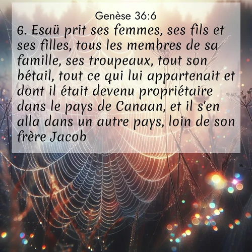 citation biblique : 6. Esaü prit ses femmes, ses fils et ses filles, tous les membres de sa famille, ses troupeaux, tout son bétail, tout ce qui lui appartenait et dont il était devenu propriétaire dans le pays de Canaan, et il s&#039;en alla dans un autre pays, loin de son frère Jacob.
 sur fond image nature