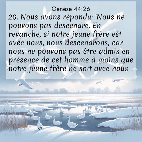 citation biblique : 26. Nous avons répondu: &#039;Nous ne pouvons pas descendre. En revanche, si notre jeune frère est avec nous, nous descendrons, car nous ne pouvons pas être admis en présence de cet homme à moins que notre jeune frère ne soit avec nous.&#039;
 sur fond image nature