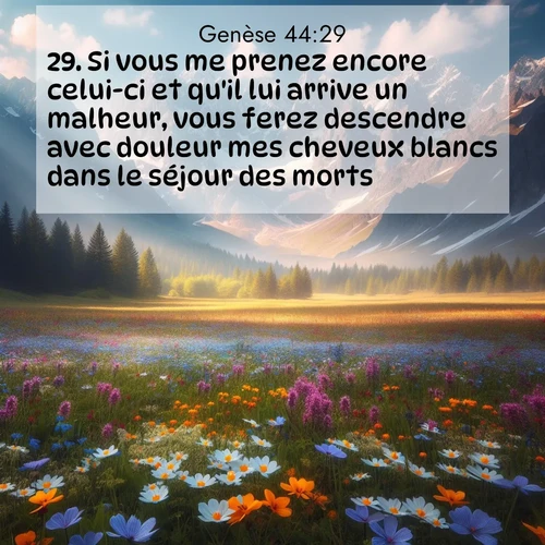 citation biblique : 29. Si vous me prenez encore celui-ci et qu&#039;il lui arrive un malheur, vous ferez descendre avec douleur mes cheveux blancs dans le séjour des morts.&#039;
 sur fond image nature