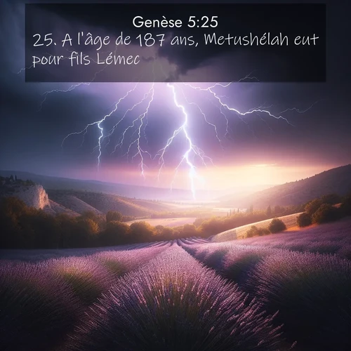 Segond21 Genèse  ; image nature: image avec le verset biblique :A l&#039;âge de 187 ans, Metushélah eut pour fils Lémec. ;  ; 5:25