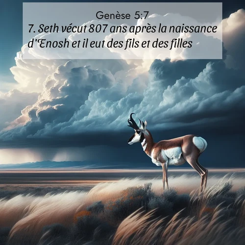 Segond21 Genèse  ; image nature: image avec le verset biblique :Seth vécut 807 ans après la naissance d&#039;Enosh et il eut des fils et des filles. ;  ; 5:7