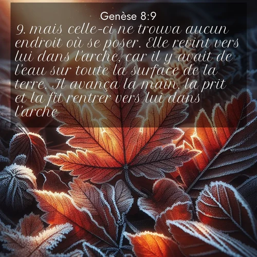 Segond21 Genèse  ; image nature: image avec le verset biblique :mais celle-ci ne trouva aucun endroit où se poser. Elle revint vers lui dans l&#039;arche, car il y avait de l&#039;eau sur toute la surface de la terre. Il avança la main, la prit et la fit rentrer vers lui dans l&#039;arche. ;  ; 8:9