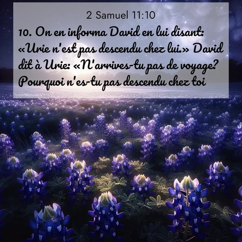 image nature avec verset biblique de la Bible