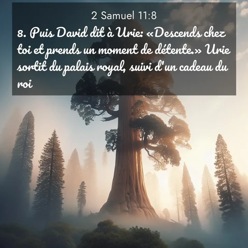 image nature avec verset biblique de la Bible