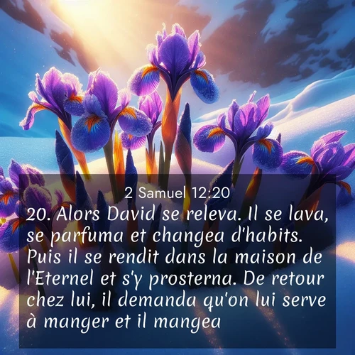 Segond21 2 Samuel  ; image nature: image avec le verset biblique :Alors David se releva. Il se lava, se parfuma et changea d&#039;habits. Puis il se rendit dans la maison de l&#039;Eternel et s&#039;y prosterna. De retour chez lui, il demanda qu&#039;on lui serve à manger et il mangea. ;  ; 12:20