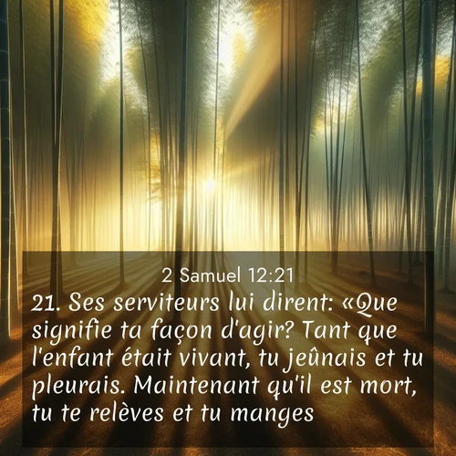 Segond21 2 Samuel  ; image nature: image avec le verset biblique :Ses serviteurs lui dirent: «Que signifie ta façon d&#039;agir? Tant que l&#039;enfant était vivant, tu jeûnais et tu pleurais. Maintenant qu&#039;il est mort, tu te relèves et tu manges!» ;  ; 12:21