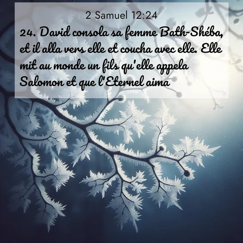 Segond21 2 Samuel  ; image nature: image avec le verset biblique :David consola sa femme Bath-Shéba, et il alla vers elle et coucha avec elle. Elle mit au monde un fils qu&#039;elle appela Salomon et que l&#039;Eternel aima. ;  ; 12:24
