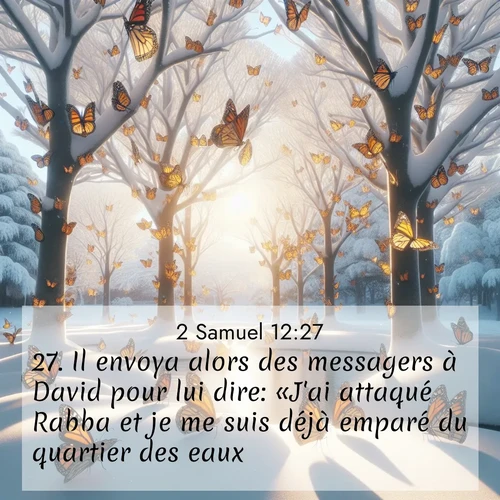 Segond21 2 Samuel  ; image nature: image avec le verset biblique :Il envoya alors des messagers à David pour lui dire: «J&#039;ai attaqué Rabba et je me suis déjà emparé du quartier des eaux. ;  ; 12:27