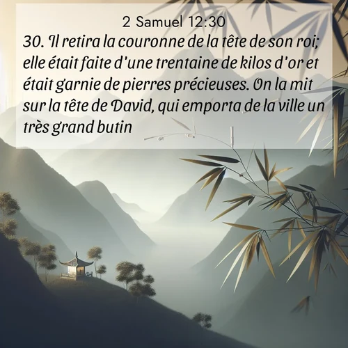 Segond21 2 Samuel  ; image nature: image avec le verset biblique :Il retira la couronne de la tête de son roi; elle était faite d&#039;une trentaine de kilos d&#039;or et était garnie de pierres précieuses. On la mit sur la tête de David, qui emporta de la ville un très grand butin. ;  ; 12:30