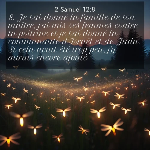 Segond21 2 Samuel  ; image nature: image avec le verset biblique :Je t&#039;ai donné la famille de ton maître, j&#039;ai mis ses femmes contre ta poitrine et je t&#039;ai donné la communauté d&#039;Israël et de Juda. Si cela avait été trop peu, j&#039;y aurais encore ajouté. ;  ; 12:8
