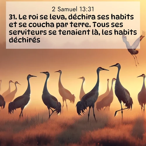 image nature avec verset biblique de la Bible