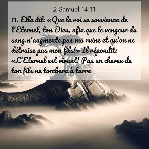 Segond21 2 Samuel  ; image nature: image avec le verset biblique :Elle dit: «Que le roi se souvienne de l&#039;Eternel, ton Dieu, afin que le vengeur du sang n&#039;augmente pas ma ruine et qu&#039;on ne détruise pas mon fils!» Il répondit: «L&#039;Eternel est vivant! Pas un cheveu de ton fils ne tombera à terre.» ;  ; 14:11