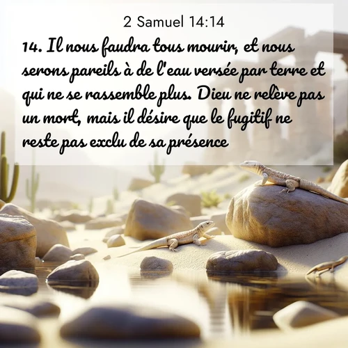 Segond21 2 Samuel  ; image nature: image avec le verset biblique :Il nous faudra tous mourir, et nous serons pareils à de l&#039;eau versée par terre et qui ne se rassemble plus. Dieu ne relève pas un mort, mais il désire que le fugitif ne reste pas exclu de sa présence. ;  ; 14:14