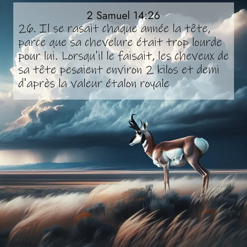 Segond21 2 Samuel  ; image nature: image avec le verset biblique :Il se rasait chaque année la tête, parce que sa chevelure était trop lourde pour lui. Lorsqu&#039;il le faisait, les cheveux de sa tête pesaient environ 2 kilos et demi d&#039;après la valeur étalon royale. ;  ; 14:26