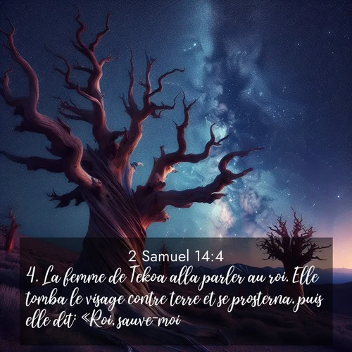 Segond21 2 Samuel  ; image nature: image avec le verset biblique :La femme de Tekoa alla parler au roi. Elle tomba le visage contre terre et se prosterna, puis elle dit: «Roi, sauve-moi!» ;  ; 14:4