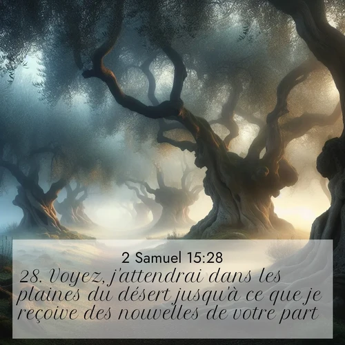 Segond21 2 Samuel  ; image nature: image avec le verset biblique :Voyez, j&#039;attendrai dans les plaines du désert jusqu&#039;à ce que je reçoive des nouvelles de votre part.» ;  ; 15:28