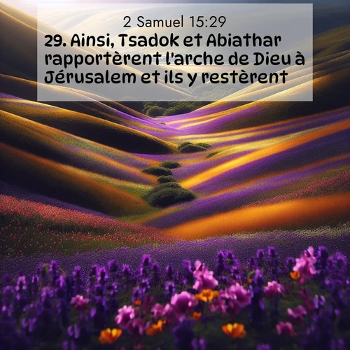 Segond21 2 Samuel  ; image nature: image avec le verset biblique :Ainsi, Tsadok et Abiathar rapportèrent l&#039;arche de Dieu à Jérusalem et ils y restèrent. ;  ; 15:29