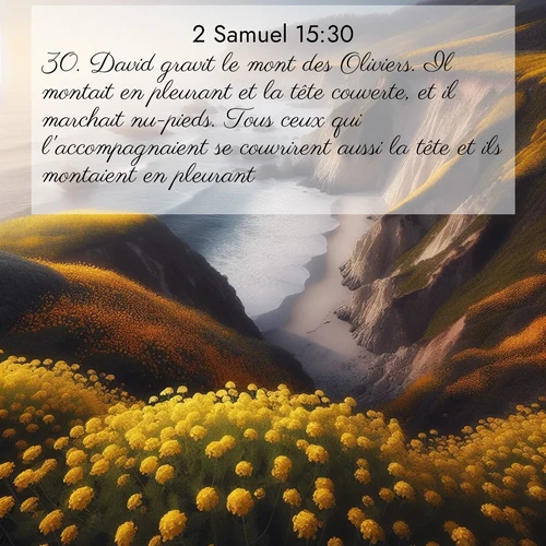 Segond21 2 Samuel  ; image nature: image avec le verset biblique :David gravit le mont des Oliviers. Il montait en pleurant et la tête couverte, et il marchait nu-pieds. Tous ceux qui l&#039;accompagnaient se couvrirent aussi la tête et ils montaient en pleurant. ;  ; 15:30