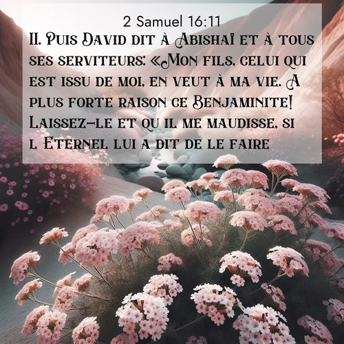 Segond21 2 Samuel  ; image nature: image avec le verset biblique :Puis David dit à Abishaï et à tous ses serviteurs: «Mon fils, celui qui est issu de moi, en veut à ma vie. A plus forte raison ce Benjaminite! Laissez-le et qu&#039;il me maudisse, si l&#039;Eternel lui a dit de le faire. ;  ; 16:11