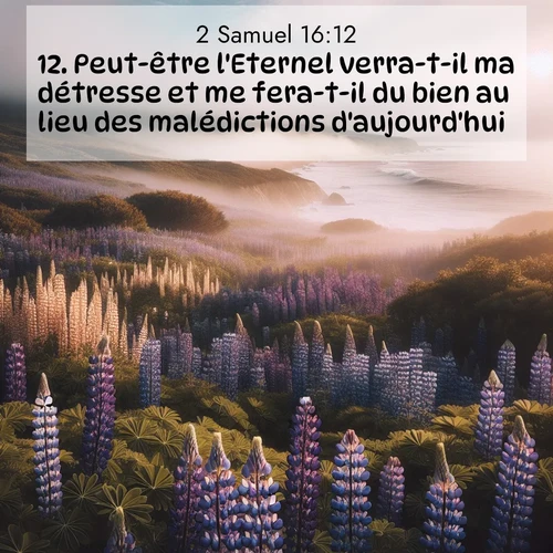 Segond21 2 Samuel  ; image nature: image avec le verset biblique :Peut-être l&#039;Eternel verra-t-il ma détresse et me fera-t-il du bien au lieu des malédictions d&#039;aujourd&#039;hui.» ;  ; 16:12