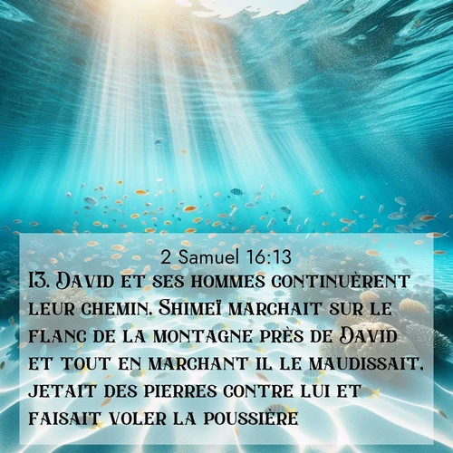Segond21 2 Samuel  ; image nature: image avec le verset biblique :David et ses hommes continuèrent leur chemin. Shimeï marchait sur le flanc de la montagne près de David et tout en marchant il le maudissait, jetait des pierres contre lui et faisait voler la poussière. ;  ; 16:13