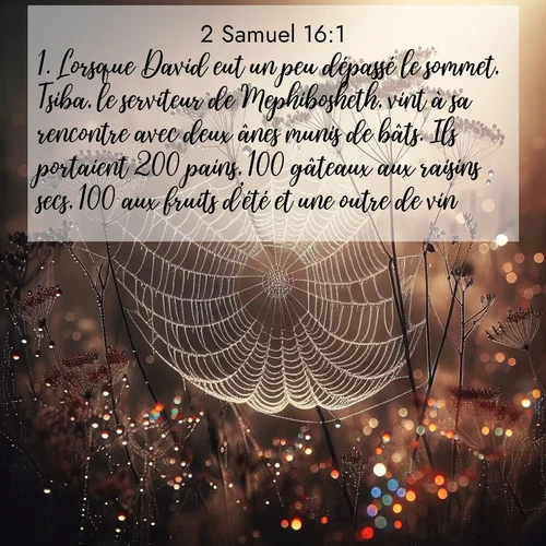 Segond21 2 Samuel  ; image nature: image avec le verset biblique :Lorsque David eut un peu dépassé le sommet, Tsiba, le serviteur de Mephibosheth, vint à sa rencontre avec deux ânes munis de bâts. Ils portaient 200 pains, 100 gâteaux aux raisins secs, 100 aux fruits d&#039;été et une outre de vin. ;  ; 16:1