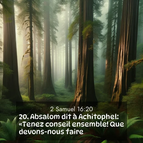 Segond21 2 Samuel  ; image nature: image avec le verset biblique :Absalom dit à Achitophel: «Tenez conseil ensemble! Que devons-nous faire?» ;  ; 16:20