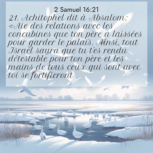 Segond21 2 Samuel  ; image nature: image avec le verset biblique :Achitophel dit à Absalom: «Aie des relations avec les concubines que ton père a laissées pour garder le palais. Ainsi, tout Israël saura que tu t&#039;es rendu détestable pour ton père et les mains de tous ceux qui sont avec toi se fortifieront.» ;  ; 16:21