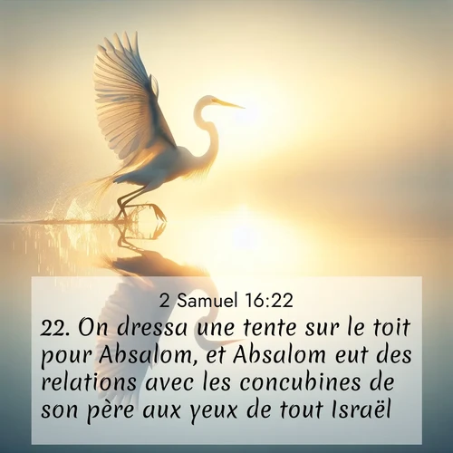 Segond21 2 Samuel  ; image nature: image avec le verset biblique :On dressa une tente sur le toit pour Absalom, et Absalom eut des relations avec les concubines de son père aux yeux de tout Israël. ;  ; 16:22