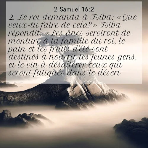 Segond21 2 Samuel  ; image nature: image avec le verset biblique :Le roi demanda à Tsiba: «Que veux-tu faire de cela?» Tsiba répondit: «Les ânes serviront de monture à la famille du roi, le pain et les fruits d&#039;été sont destinés à nourrir les jeunes gens, et le vin à désaltérer ceux qui seront fatigués dans le désert.» ;  ; 16:2