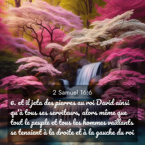 Segond21 2 Samuel  ; image nature: image avec le verset biblique :et il jeta des pierres au roi David ainsi qu&#039;à tous ses serviteurs, alors même que tout le peuple et tous les hommes vaillants se tenaient à la droite et à la gauche du roi. ;  ; 16:6