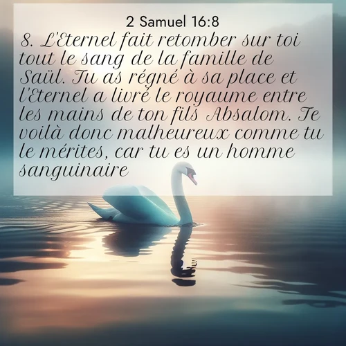 Segond21 2 Samuel  ; image nature: image avec le verset biblique :L&#039;Eternel fait retomber sur toi tout le sang de la famille de Saül. Tu as régné à sa place et l&#039;Eternel a livré le royaume entre les mains de ton fils Absalom. Te voilà donc malheureux comme tu le mérites, car tu es un homme sanguinaire!» ;  ; 16:8