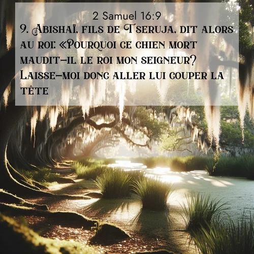 Segond21 2 Samuel  ; image nature: image avec le verset biblique :Abishaï, fils de Tseruja, dit alors au roi: «Pourquoi ce chien mort maudit-il le roi mon seigneur? Laisse-moi donc aller lui couper la tête.» ;  ; 16:9