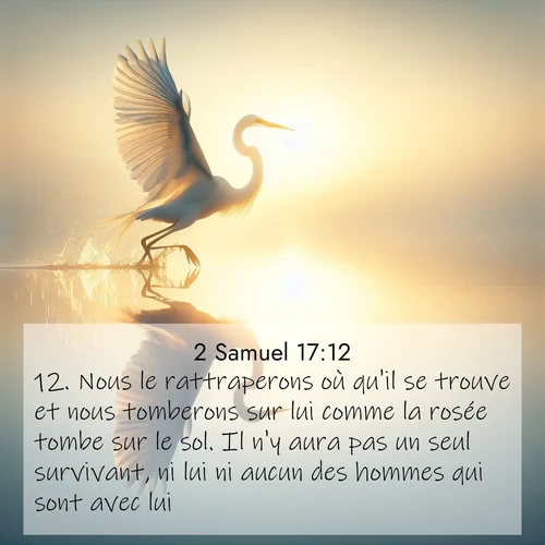 Segond21 2 Samuel  ; image nature: image avec le verset biblique :Nous le rattraperons où qu&#039;il se trouve et nous tomberons sur lui comme la rosée tombe sur le sol. Il n&#039;y aura pas un seul survivant, ni lui ni aucun des hommes qui sont avec lui. ;  ; 17:12