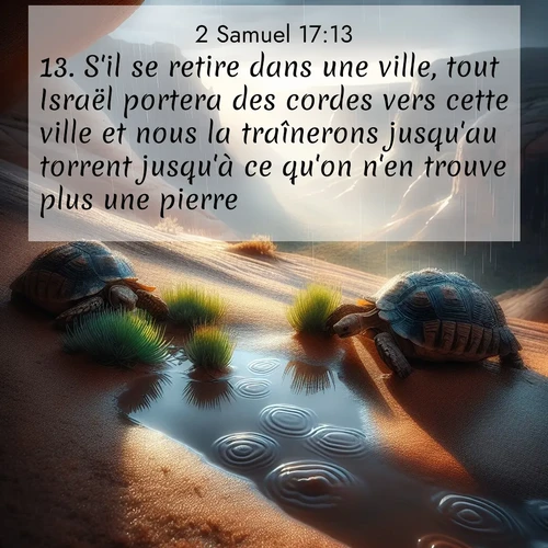 Segond21 2 Samuel  ; image nature: image avec le verset biblique :S&#039;il se retire dans une ville, tout Israël portera des cordes vers cette ville et nous la traînerons jusqu&#039;au torrent jusqu&#039;à ce qu&#039;on n&#039;en trouve plus une pierre.» ;  ; 17:13