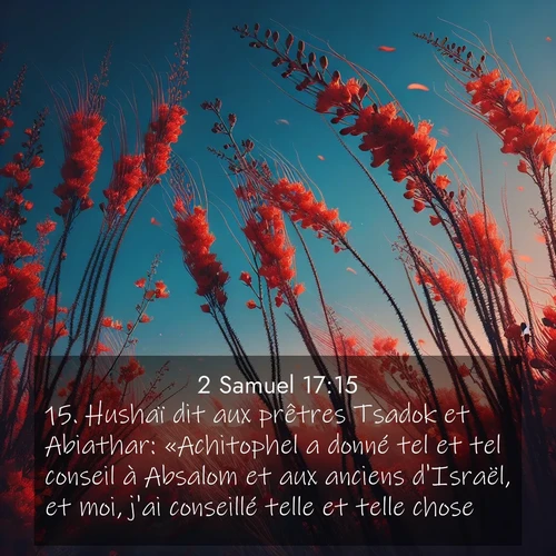 Segond21 2 Samuel  ; image nature: image avec le verset biblique :Hushaï dit aux prêtres Tsadok et Abiathar: «Achitophel a donné tel et tel conseil à Absalom et aux anciens d&#039;Israël, et moi, j&#039;ai conseillé telle et telle chose. ;  ; 17:15