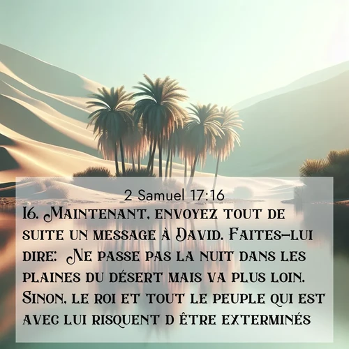 Segond21 2 Samuel  ; image nature: image avec le verset biblique :Maintenant, envoyez tout de suite un message à David. Faites-lui dire: &#039;Ne passe pas la nuit dans les plaines du désert mais va plus loin. Sinon, le roi et tout le peuple qui est avec lui risquent d&#039;être exterminés.&#039;» ;  ; 17:16